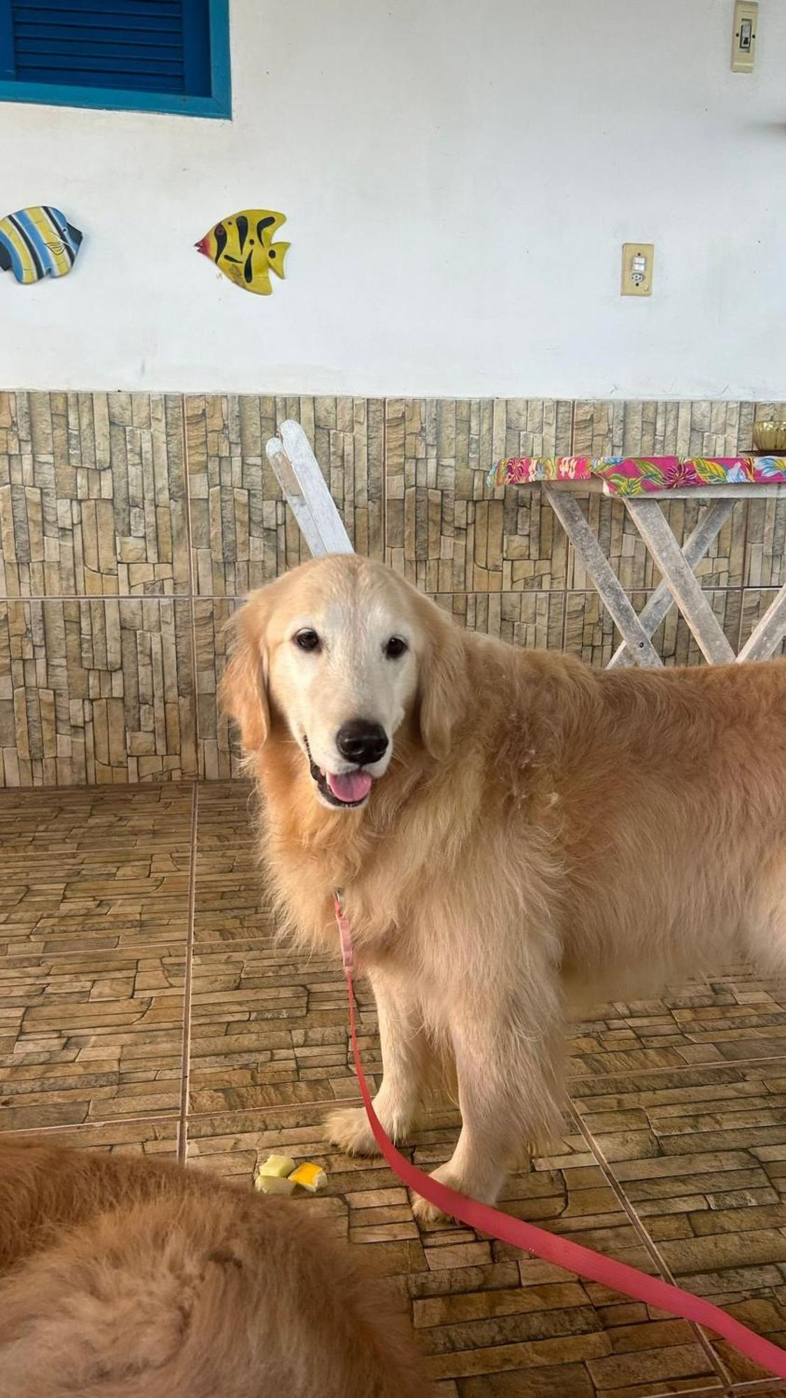 Pousada Cantinho de Ará Praia de Araçatiba Exterior foto