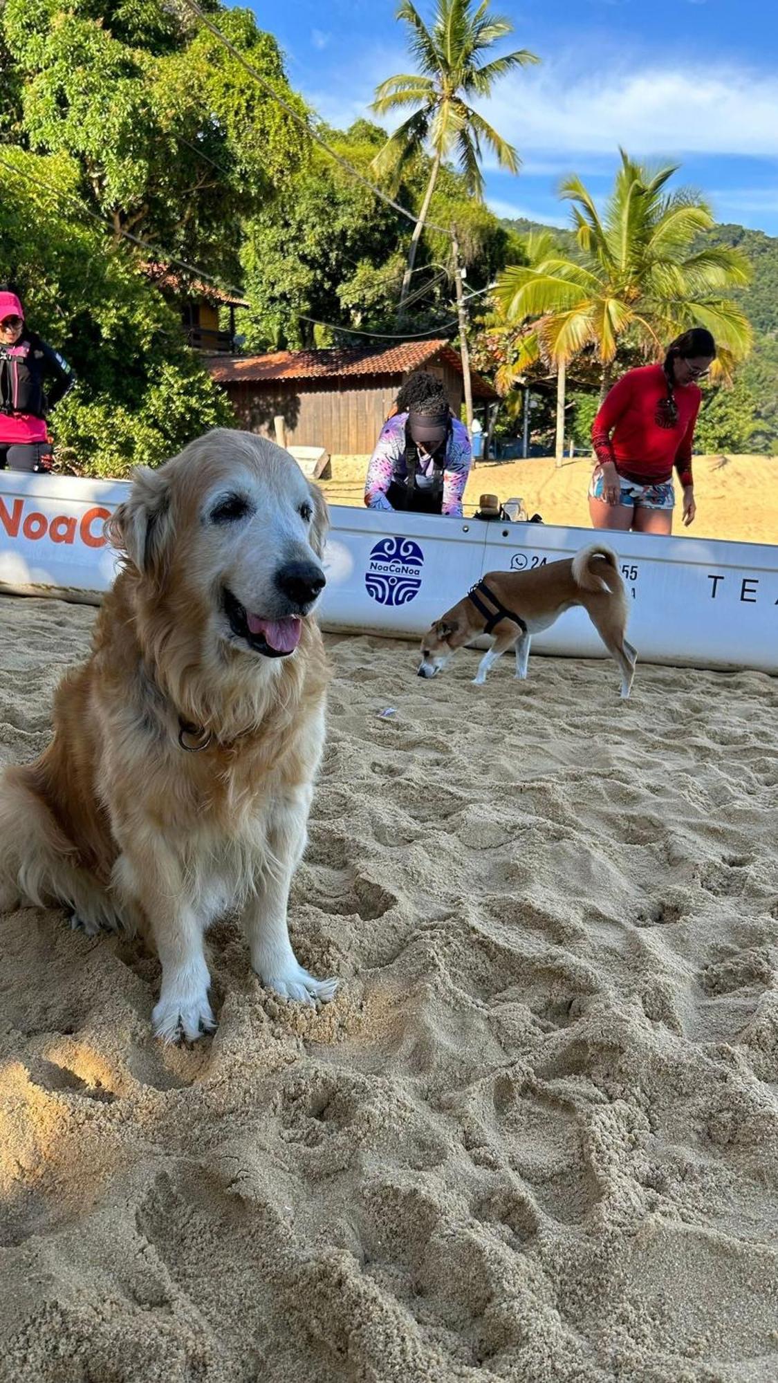 Pousada Cantinho de Ará Praia de Araçatiba Exterior foto